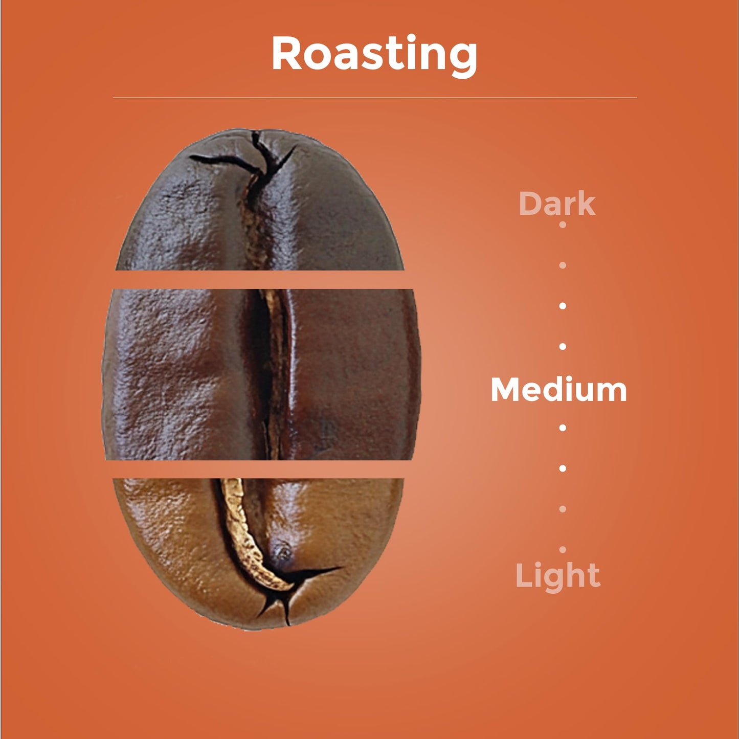 Robica Dolce Brazilian Coffee Pods Made from 100% Arabica Whole Coffee Beans - Single Serve Roasted Organic Ground Coffee Capsules Compatible with Dolce Gusto Machine, 10 Capsules
