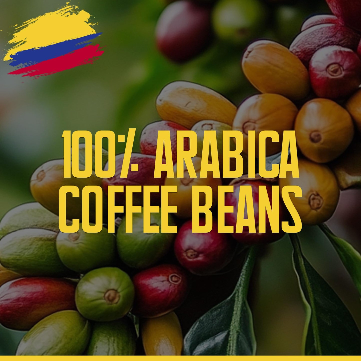 Robica Colombian Coffee - Smooth and Balanced Flavored Arabica Coffee Beans, Medium Roast Fresh American Ground Coffee, 250 Grams
